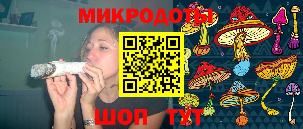 Псилоцибиновые грибы Psilocybe Борисоглебск